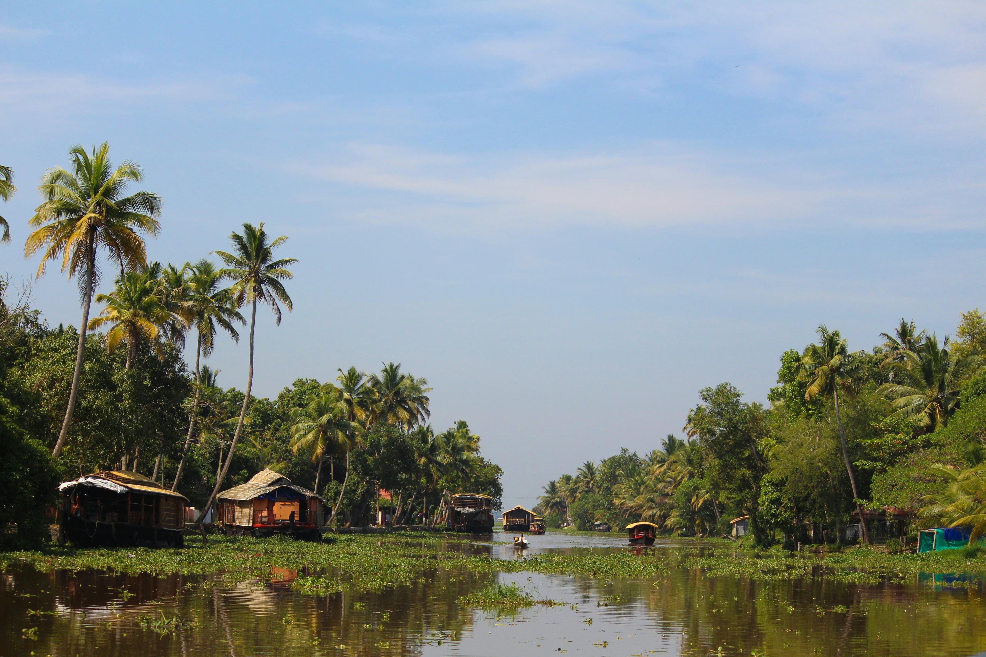 Monsoon Streets, Kerala